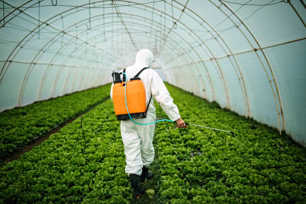 Pest Prevention Services in Walker, LA