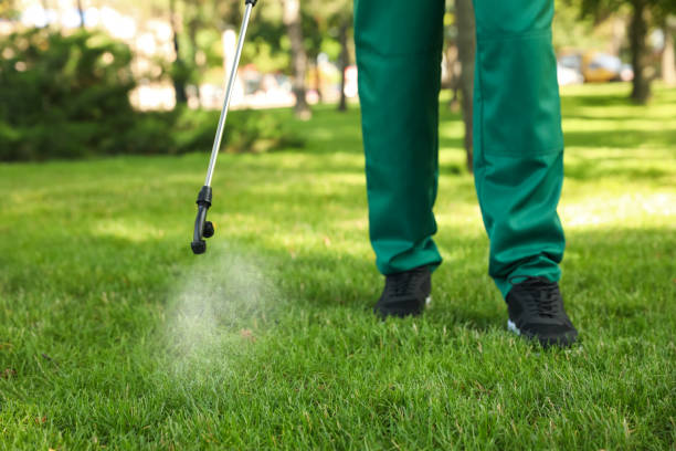 Best Commercial Pest Control Services  in Walker, LA