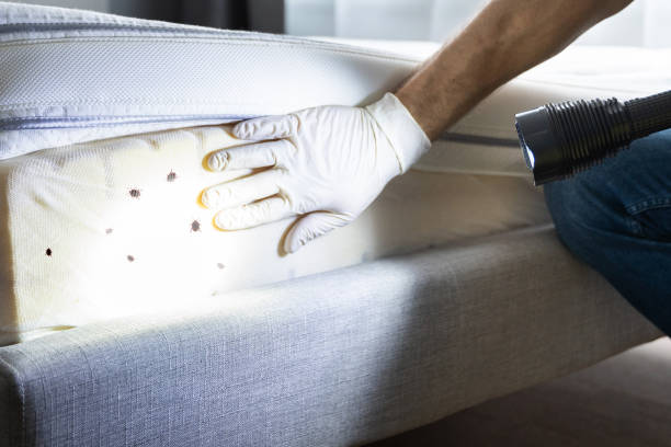 Best Exterminator Services  in Walker, LA