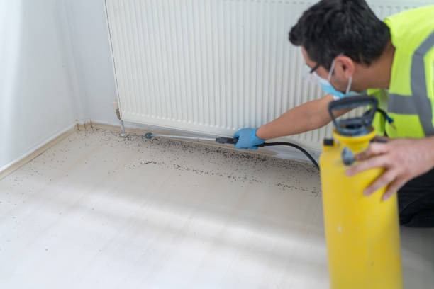 Best Affordable Exterminators  in Walker, LA